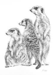 A Family Affair